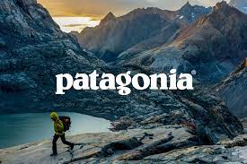 Patagonia Revolutionized the Clothing Business