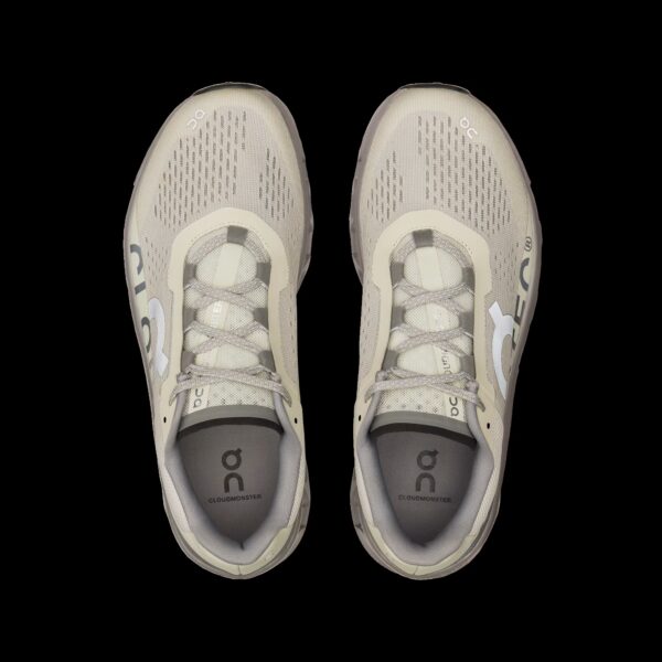 ON Men's Cloudmonster Ice/ Alloy - Image 4