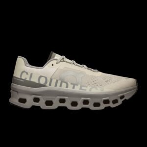 ON Men's Cloudmonster Ice/ Alloy
