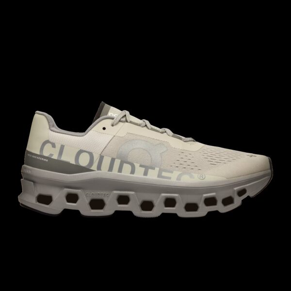 ON Men's Cloudmonster Ice/ Alloy